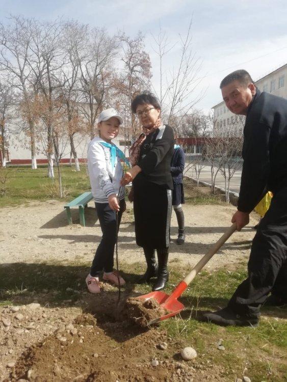 ECOLIFE экологиялық акциясы